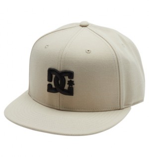 Beige Men DC Shoes DC Empire Snapback Cap | DC-2147958