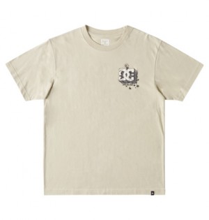 Beige Men DC Shoes Still Here T-Shirt | DC-0312475