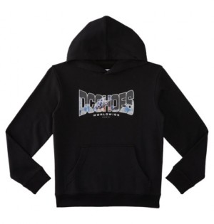 Black Kids' DC Shoes Astro Pullover Hoodie | DC-1964732