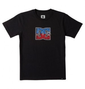 Black Kids' DC Shoes DC Star Inline Short Sleeves T-Shirt | DC-4856013