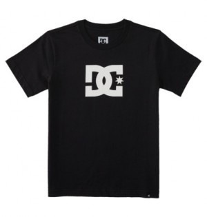 Black Kids' DC Shoes DC Star T-Shirt | DC-4051268