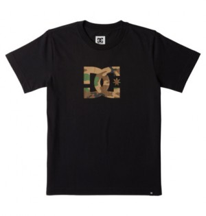 Black Kids' DC Shoes DC Star T-Shirt | DC-9705246