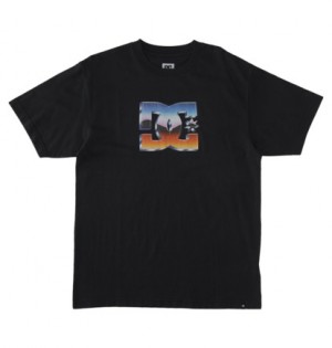 Black Men DC Shoes Chrome T-Shirt | DC-0125863