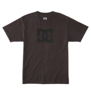 Black Wash Men DC Shoes DC Star T-Shirt | DC-8126930