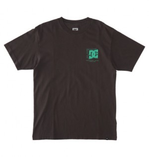 Black Wash Men DC Shoes Mid Century T-Shirt | DC-1270945