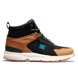 Black / Brown / Green Men DC Shoes Mutiny Water Resistant Leather Winter Boots | DC-8901237