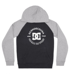 Black / Grey Kids' DC Shoes DC Star Pilot Hoodie | DC-3064815