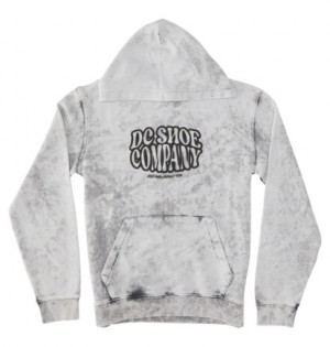 Blue Grey Kids' DC Shoes Contour Hoodie | DC-9283471