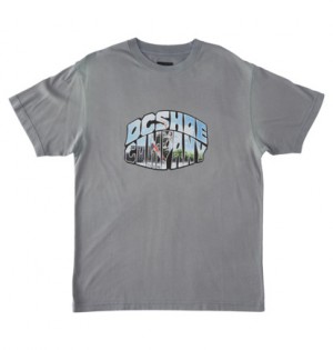 Blue Grey Men DC Shoes Citywide T-Shirt | DC-9607831