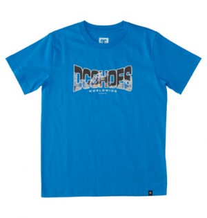 Blue Kids' DC Shoes Astro T-Shirt | DC-6419027