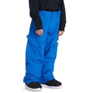 Blue Kids' DC Shoes Banshee Technical Snowboard Pants | DC-8209514