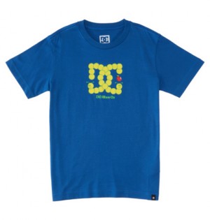 Blue Kids' DC Shoes Bookworm T-Shirt | DC-1350648