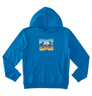 Blue Kids' DC Shoes Chrome Pullover Hoodie | DC-8324671