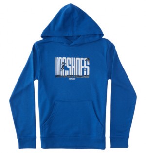 Blue Kids' DC Shoes On The Grind Hoodie | DC-0635187