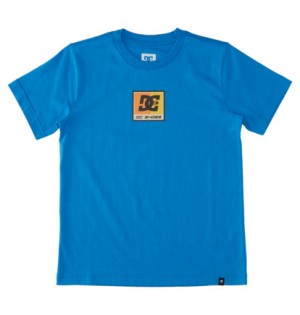 Blue Kids' DC Shoes Racer T-Shirt | DC-1792834