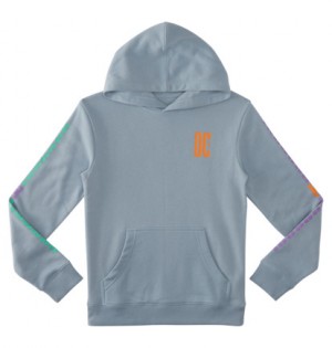 Blue Kids' DC Shoes Sportster Pullover Hoodie | DC-1768450