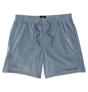 Blue Men DC Shoes Belview 18" Shorts | DC-0167234