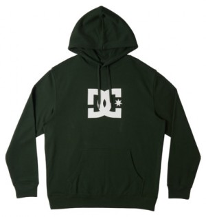 Blue Men DC Shoes DC Star Hoodie | DC-9530678