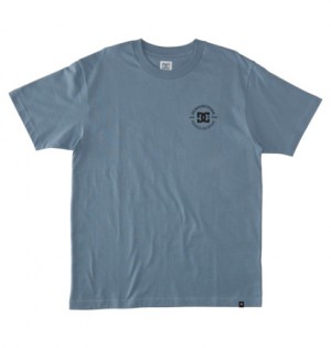 Blue Men DC Shoes DC Star Pilot T-Shirt | DC-4389072