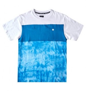 Blue Men DC Shoes Deep End Short Sleeve T-Shirt | DC-1065983