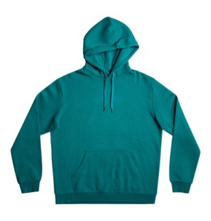 Blue Men DC Shoes Guarded Hoodie | DC-4897562