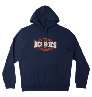 Blue Men DC Shoes Standout Pullover Hoodie | DC-0513247