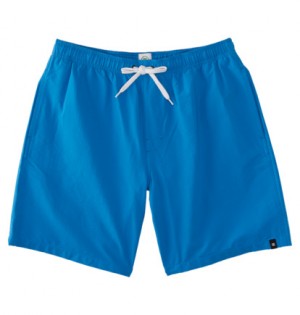 Blue Men DC Shoes Stryker 18" Shorts | DC-3718045