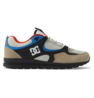 Blue / White Men DC Shoes Kalis Lite Skate Shoes | DC-3820974