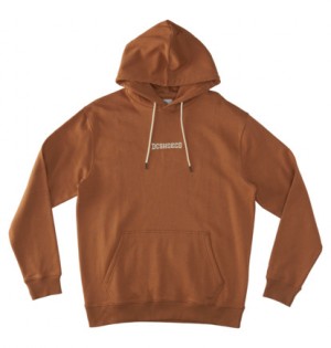 Brown Men DC Shoes Baseline Ph Hoodie | DC-4763512