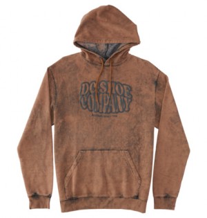 Brown Men DC Shoes Contour Hoodie | DC-5289360