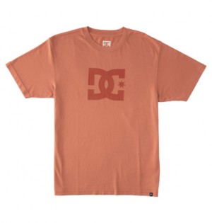 Brown Men DC Shoes DC Star Pigment Dye T-Shirt | DC-6279580