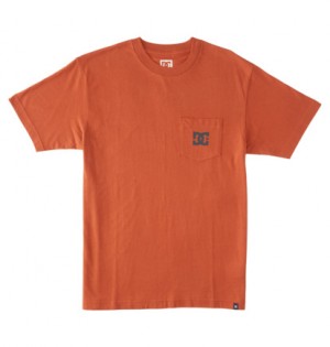 Brown Men DC Shoes DC Star T-Shirt | DC-5134892