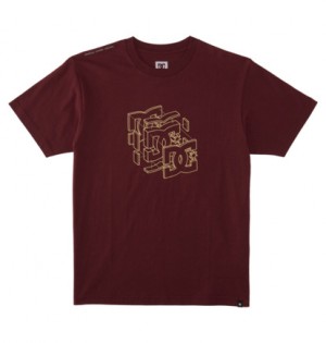 Brown Men DC Shoes Rebuild T-Shirt | DC-6802174