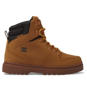 Brown / Black Men DC Shoes Peary Tr Leather Winter Boots | DC-9420876