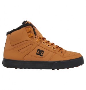 Brown / Black Men DC Shoes Pure High WNT Winter Boots | DC-6793241