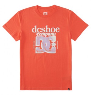 Coral Men DC Shoes Overspray T-Shirt | DC-3927605