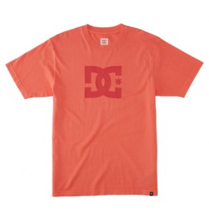 Coral Wash Men DC Shoes DC Star T-Shirt | DC-0381247