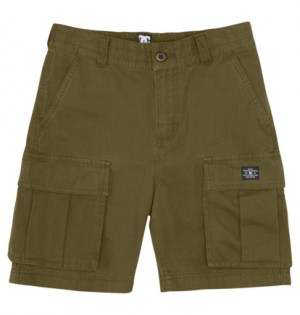 Dark Green Kids' DC Shoes Tundra Shorts | DC-6750439