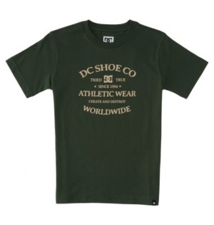 Dark Green Kids' DC Shoes World Renowed T-Shirt | DC-8039145