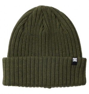 Dark Green Men DC Shoes Fish N Destroy 2 Cuffed Beanie | DC-7361820