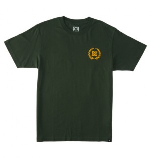 Dark Green Men DC Shoes Lifes Changing T-Shirt | DC-6789105