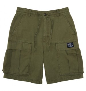 Dark Green Men DC Shoes Tundra Shorts | DC-2854079