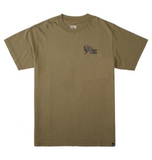 Dark Green Wash Men DC Shoes Watch Dog T-Shirt | DC-6053418