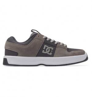 Dark Grey / White Men DC Shoes Lynx Zero Skate Shoes | DC-2346870