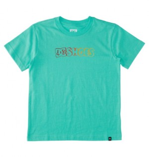 Green Kids' DC Shoes Work In Progress T-Shirt | DC-8497510