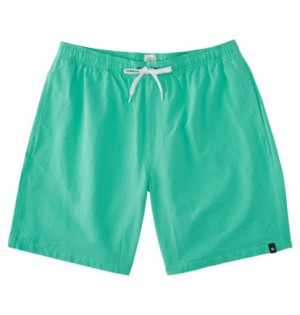 Green Men DC Shoes Stryker 18" Shorts | DC-9185634