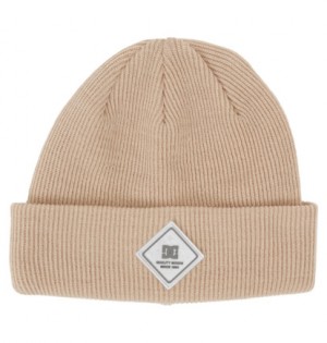 Grey Brown Women DC Shoes Label Beanie | DC-4861392