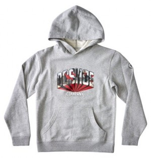 Grey Kids' DC Shoes Blabac Jahmir Hoodie | DC-6591374