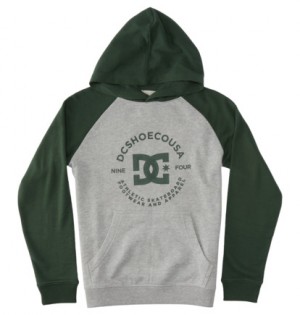 Grey Kids' DC Shoes DC Star Pilot Hoodie | DC-4780396