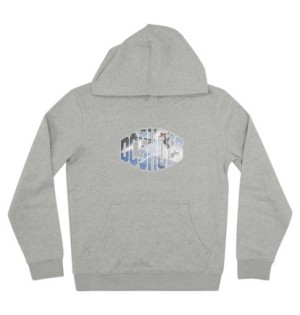 Grey Kids' DC Shoes Wes Hoodie | DC-6583970